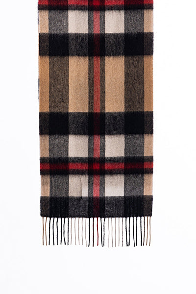 Lucchi Italy Cashmere Scarf DC Scott