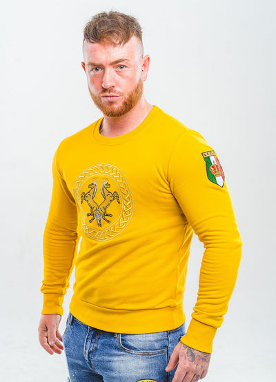 Lucchi Italy Embroidery Yellow Cotton Sweatshirt With Big Logo