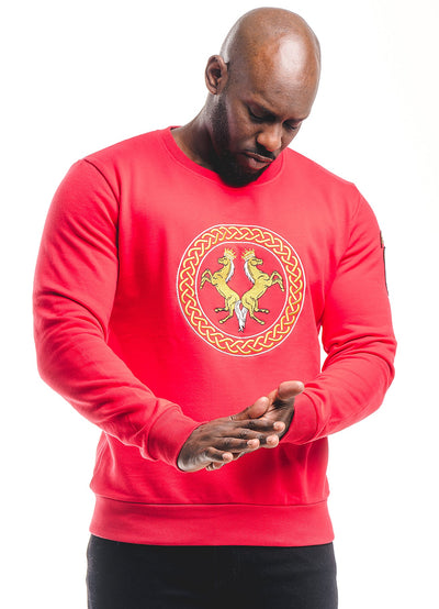 Lucchi Italy Embroidery Red Cotton Sweatshirt With Big Logo